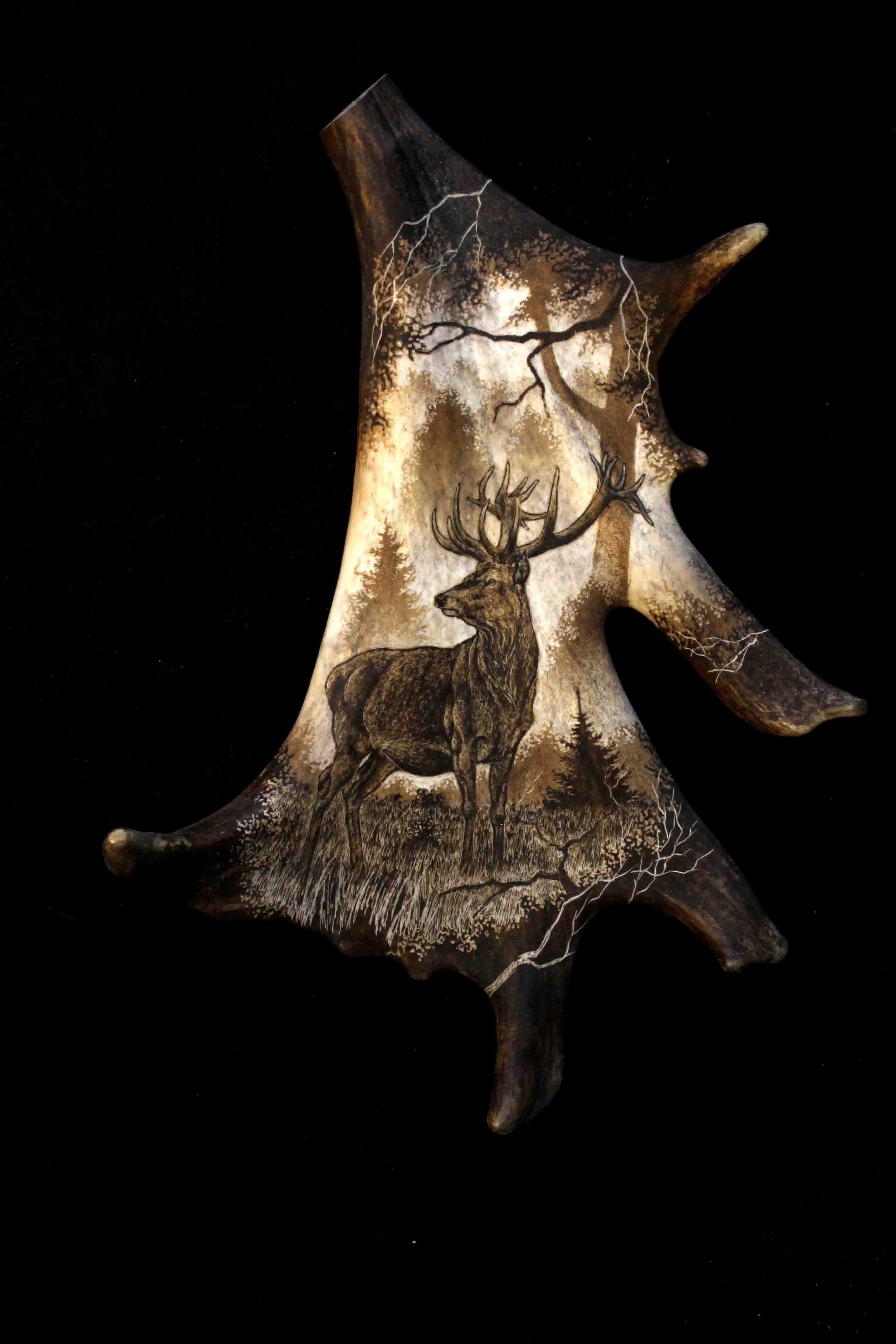 Deer Antler Engraving 2